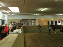 IMG_1506_web